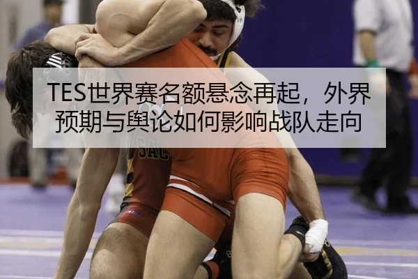 TES世界赛名额悬念再起，外界预期与舆论如何影响战队走向 - leyu